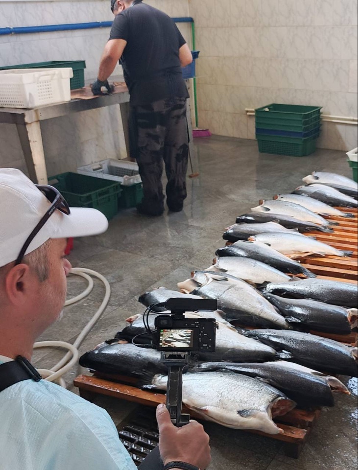 В республике продолжаются съемки цикла передач о развитии рыбной отрасли в Дагестане.